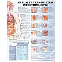Sexually Transmitted Infections Anatomical Chart (Hardcover)