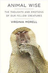 Animal Wise : The Thoughts and Emotions of Animals (Paperback)