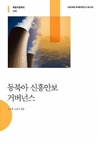 동북아 신흥안보 거버넌스 : 복합지정학의 시각