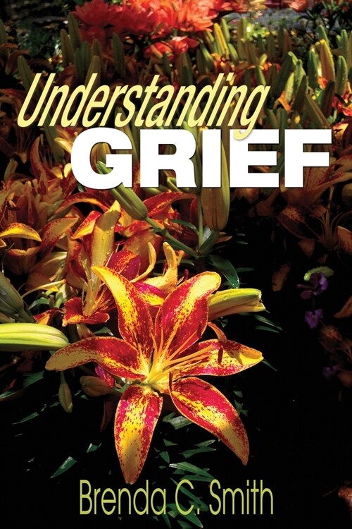 Understanding Grief (Paperback)