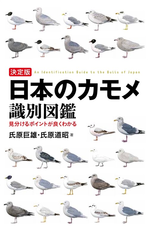 決定版日本のカモメ識別圖鑑