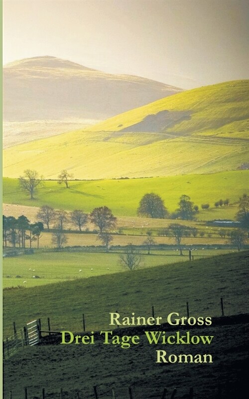 Drei Tage Wicklow: Roman (Paperback)