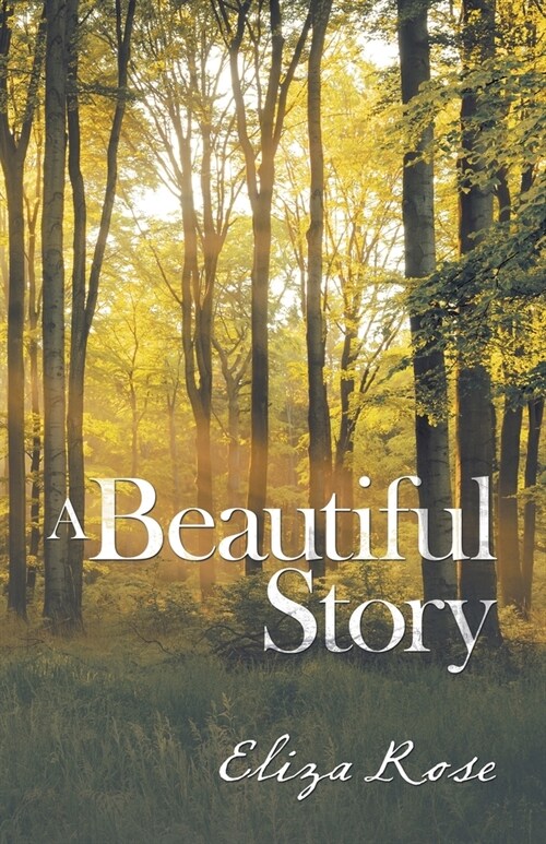 A Beautiful Story (Paperback)