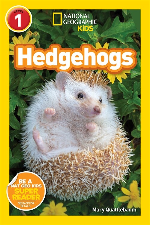 [중고] National Geographic Readers: Hedgehogs (Level 1) (Paperback)