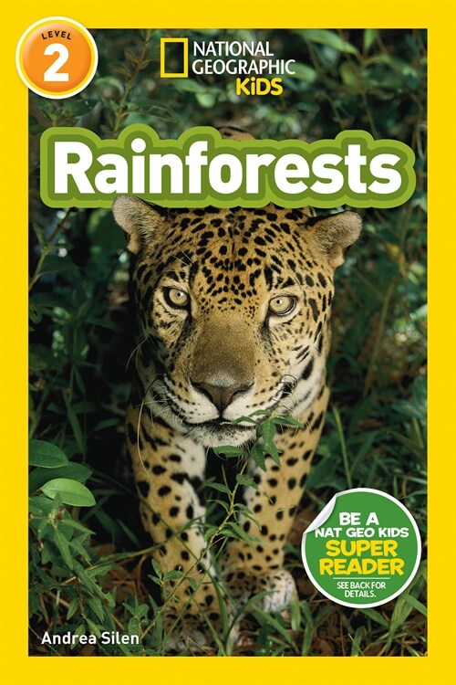 Rainforests (Paperback)