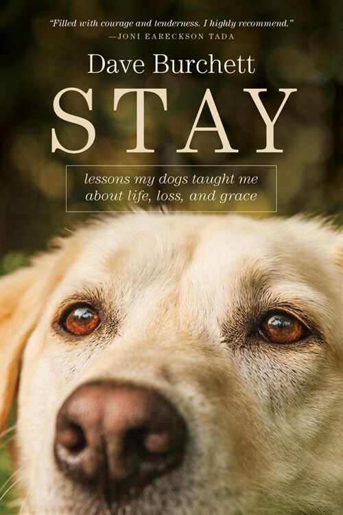 Stay: Lessons My Dogs Taught Me about Life, Loss, and Grace (Paperback)