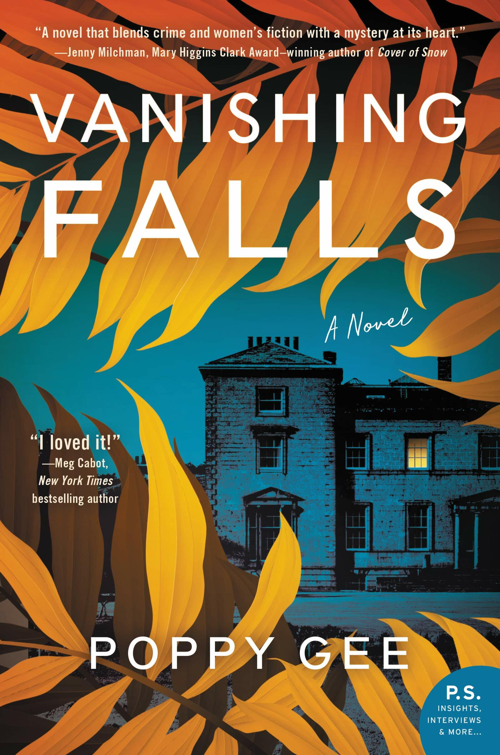 Vanishing Falls (Paperback)