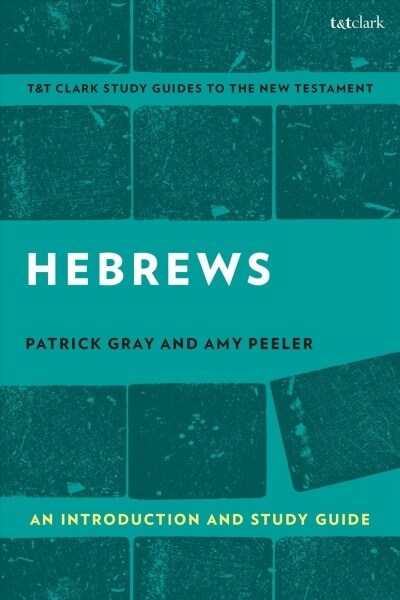 Hebrews: An Introduction and Study Guide (Hardcover)