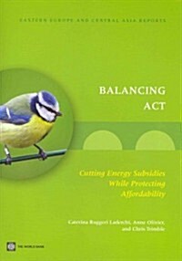 Balancing ACT: Cutting Energy Subsidies While Protecting Affordability (Paperback)