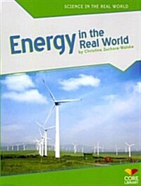 Energy in the Real World (Paperback)