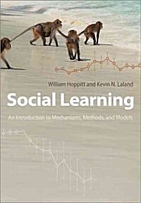 Social Learning: An Introduction to Mechanisms, Methods, and Models (Paperback)