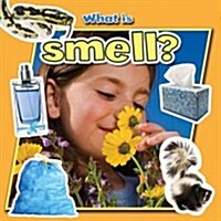 What Is Smell? (Paperback)