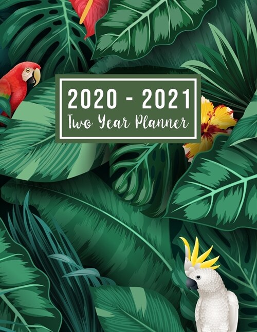 2020-2021 Two Year Planner: big 2 year monthly planner - 24 Months Agenda Planner with Holiday from Jan 2020 - Dec 2021 Large size 8.5 x 11 2020-2 (Paperback)