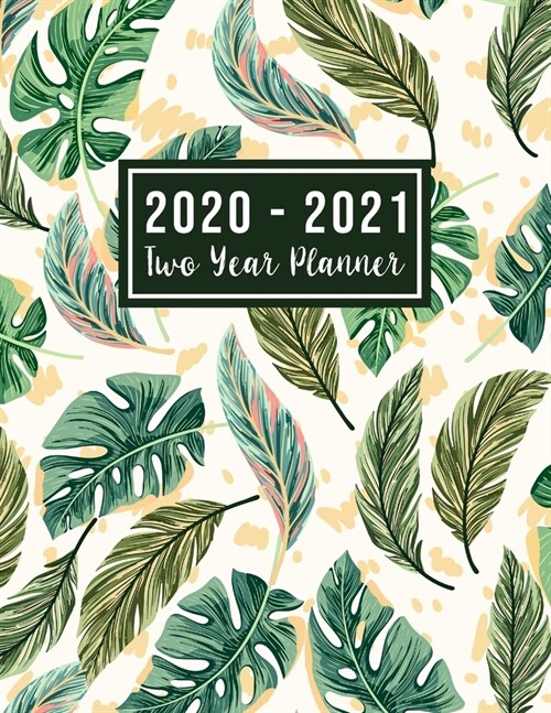 2020-2021 Two Year Planner: big 2 year monthly planner - Monthly Schedule Organizer - Agenda Planner For The Next Two Years, 24 Months Calendar, A (Paperback)
