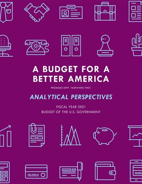 A Budget for Americas Future: Analytical Perspectives, Budget of the U.S. Government, Fiscal Year 2021 (Paperback)