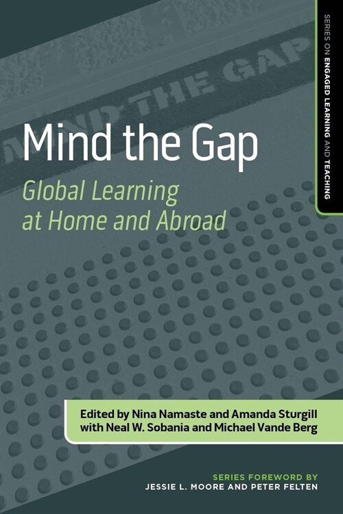 Mind the Gap: Global Learning at Home and Abroad (Paperback)