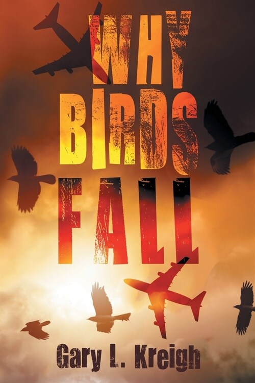 Why Birds Fall (Paperback)