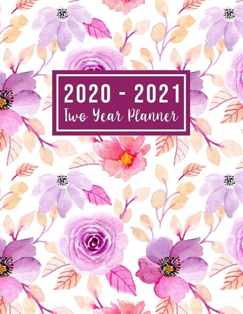 2020-2021 Two Year Planner: 2 year appointment planner 2020-2021 - Jan 2020 - Dec 2021 - 24 Months Agenda Planner with Holiday - Personal Appointm (Paperback)