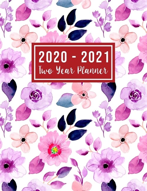 2020-2021 Two Year Planner: 2 year appointment planner 2020-2021 - 24 Months Agenda Planner with Holiday from Jan 2020 - Dec 2021 Large size 8.5 x (Paperback)