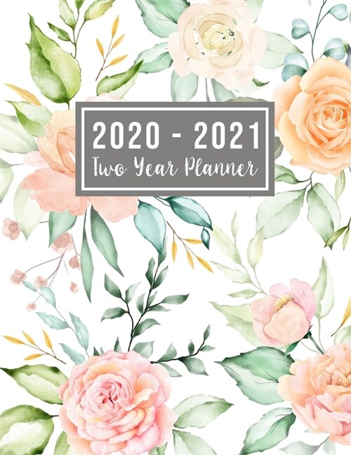 2020-2021 Two Year Planner: 2020-2021 see it bigger planner - 24 Months Agenda Planner with Holiday from Jan 2020 - Dec 2021 Large size 8.5 x 11 2 (Paperback)