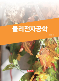물리전자공학 커버