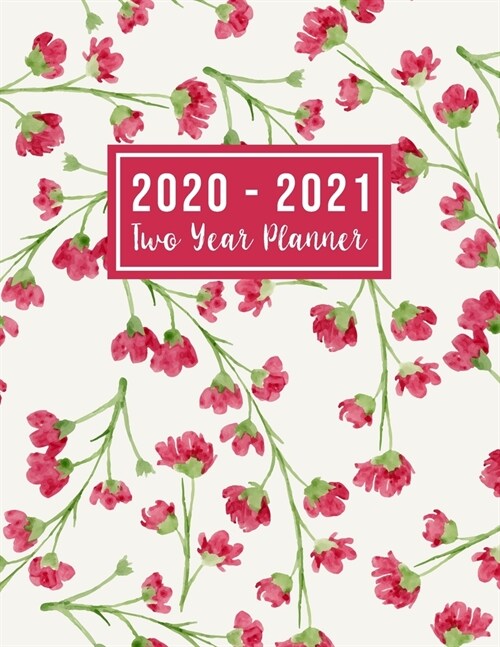 2020-2021 Two Year Planner: 2020-2021 see it bigger planner - Jan 2020 - Dec 2021 - 24 Months Agenda Planner with Holiday - Personal Appointment ( (Paperback)