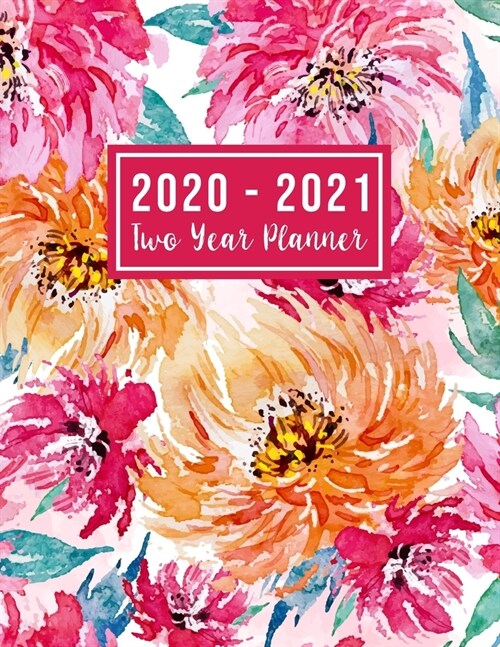 2020-2021 Two Year Planner: 2020-2021 see it bigger planner - Monthly Schedule Organizer - Agenda Planner For The Next Two Years, 24 Months Calend (Paperback)