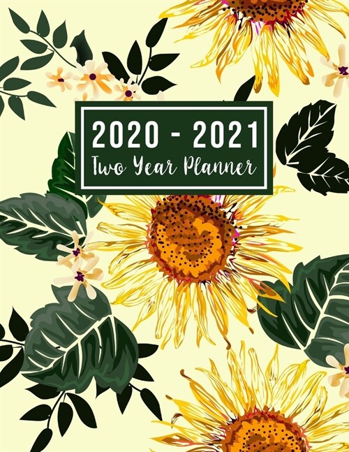 2020-2021 Two Year Planner: monthly 2 year appointment planner 2020-2021 - Jan 2020 - Dec 2021 - 24 Months Agenda Planner with Holiday - Personal (Paperback)