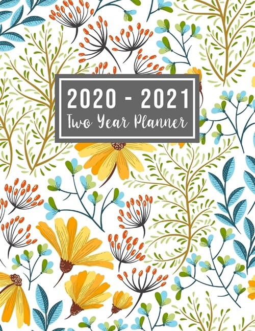 2020-2021 Two Year Planner: monthly 2 year appointment planner 2020-2021 - Monthly Schedule Organizer - Agenda Planner For The Next Two Years, 24 (Paperback)