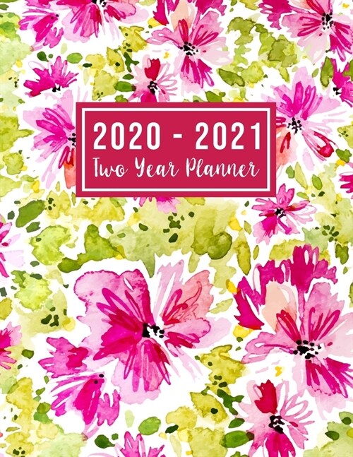 2020-2021 Two Year Planner: 2020-2021 see it bigger planner - Jan 2020 - Dec 2021 - 24 Months Agenda Planner with Holiday - Personal Appointment ( (Paperback)