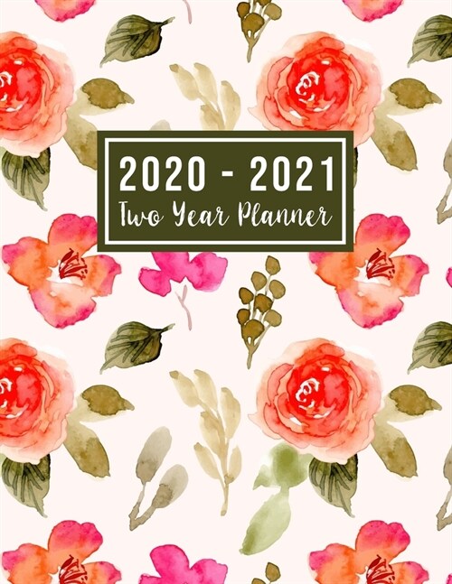 2020-2021 Two Year Planner: 2 year academic monthly planner - Jan 2020 - Dec 2021 - 24 Months Agenda Planner with Holiday - Personal Appointment ( (Paperback)