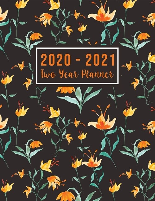 2020-2021 Two Year Planner: 2 year academic monthly planner - 24 Months Agenda Planner with Holiday from Jan 2020 - Dec 2021 Large size 8.5 x 11 2 (Paperback)