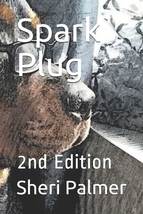 Spark Plug: 2nd Edition (Paperback)