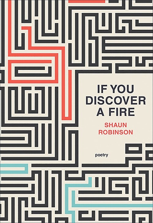 If You Discover a Fire (Paperback)