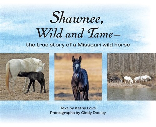 Shawnee, Wild and Tame: The True Story of a Missouri Wild Horse (Hardcover)