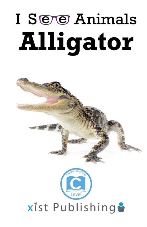 Alligator (Paperback)