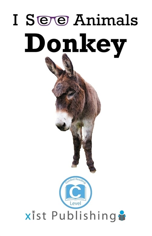 Donkey (Paperback)