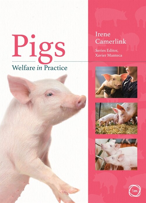 Pigs Welfare in Practice (Paperback)