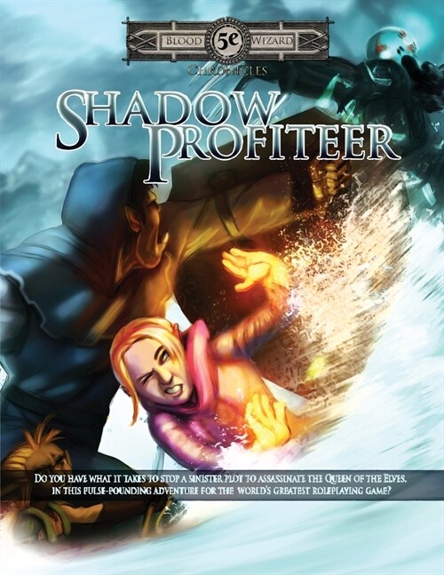 Shadow Profiteer (Paperback)