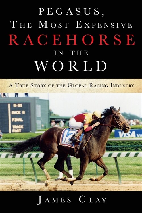 Pegasus, The Most Expensive Racehorse in the World: A True Story of the Global Racing Industry (Paperback)