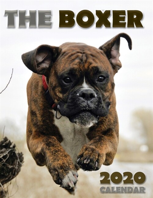 The Boxer 2020 Calendar (Paperback)