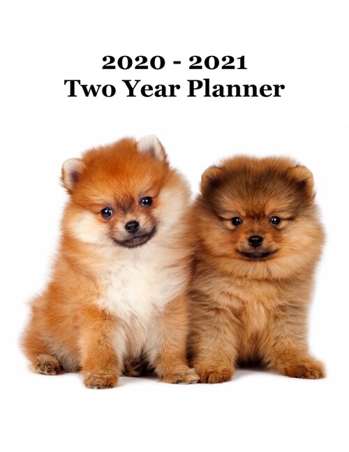 2020 - 2021 Two Year Planner: Pomeranian Puppies Cover - Includes Major U.S. Holidays and Sporting Events (Paperback)