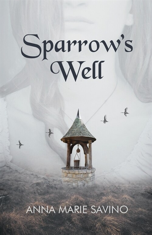 Sparrows Well (Paperback)