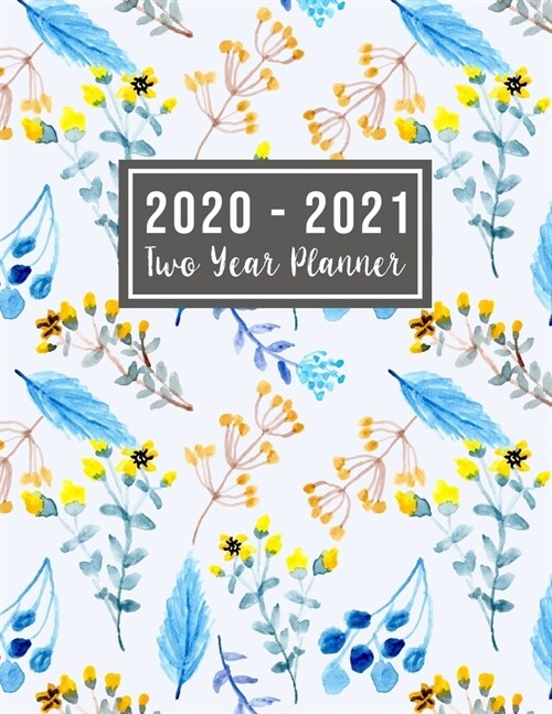 2020-2021 Two Year Planner: 2-year appointment calendar planner - Jan 2020 - Dec 2021 - 24 Months Agenda Planner with Holiday - Personal Appointme (Paperback)