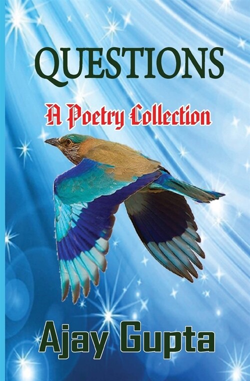 Questions (Paperback)