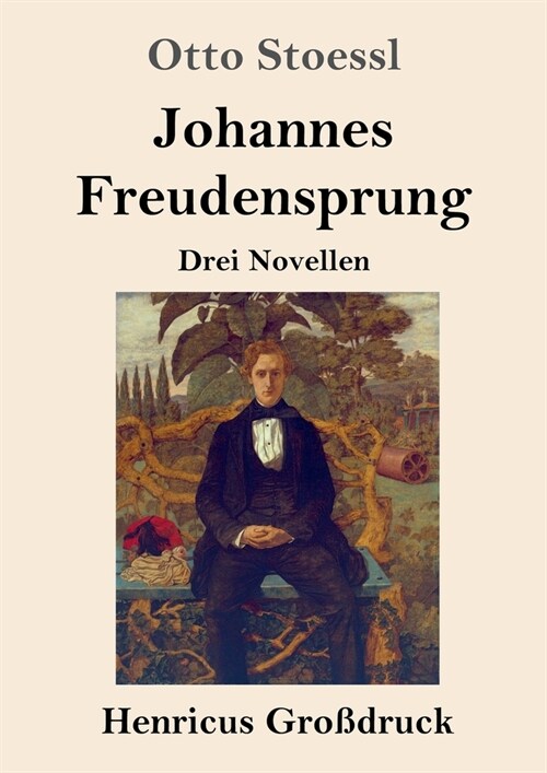 Johannes Freudensprung (Gro?ruck): Drei Novellen (Paperback)