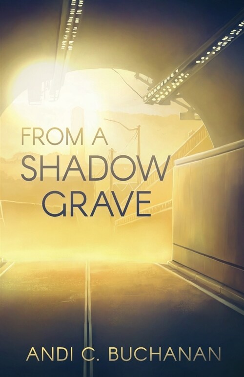 From a Shadow Grave (Paperback)