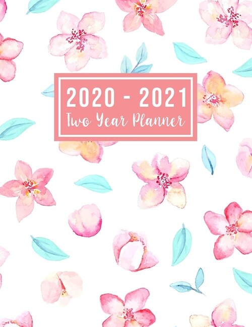 2020-2021 Two Year Planner: large see it bigger 2-year monthly planner 2020-2021 - 24 Months Agenda Planner with Holiday from Jan 2020 - Dec 2021 (Paperback)