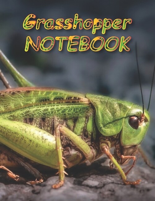 Grasshopper NOTEBOOK: Notebooks and Journals 110 pages (8.5x11) (Paperback)