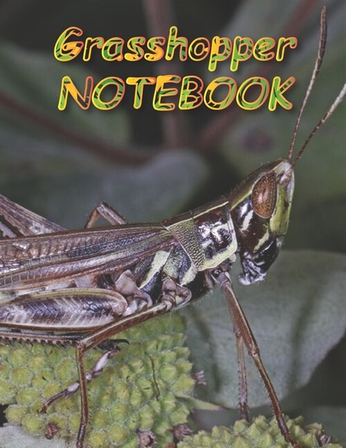 Grasshopper NOTEBOOK: Notebooks and Journals 110 pages (8.5x11) (Paperback)